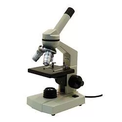 ✓ Microscopio